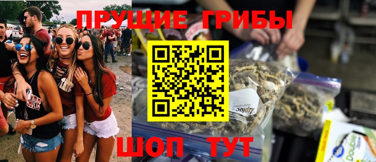 Галлюциногенные грибы мицелий  Вход с VPN  Мценск 