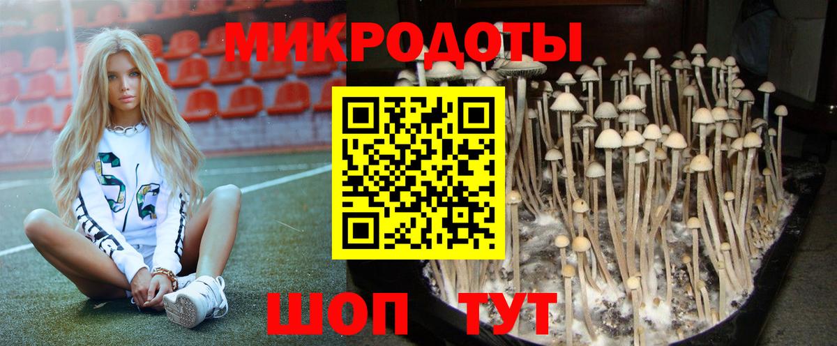 Галлюциногенные грибы ЛСД Мценск