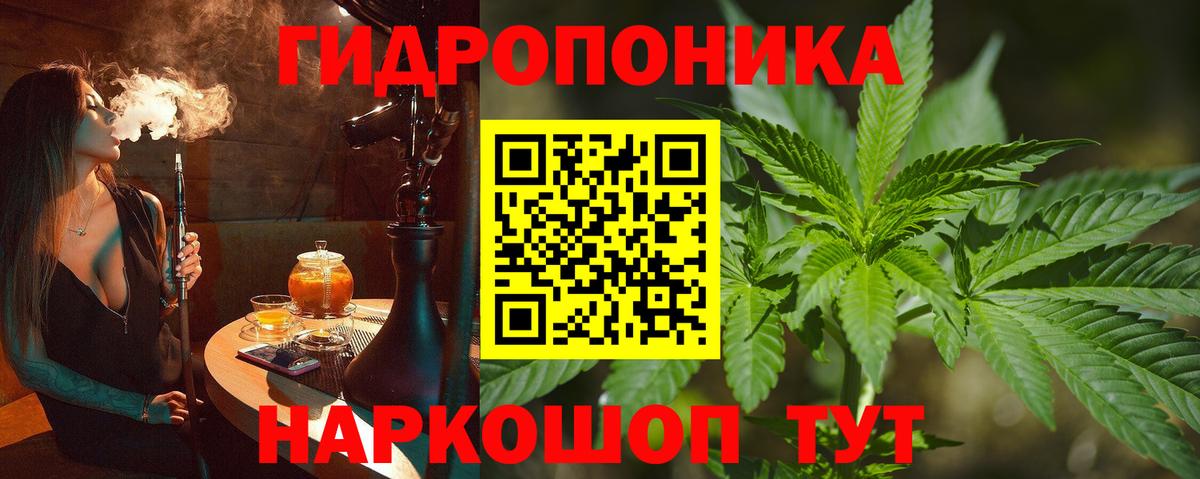 Бошки Шишки VHQ Мценск